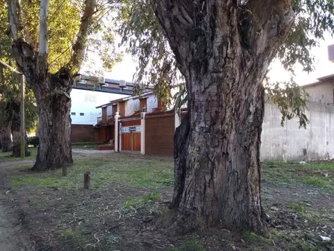 Terreno en Venta 10  mts Fondo