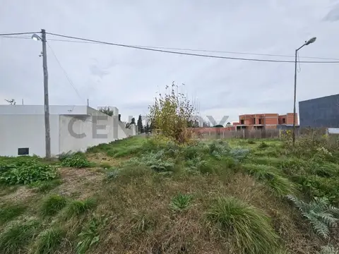 Lote en Venta en Lisandro Olmos