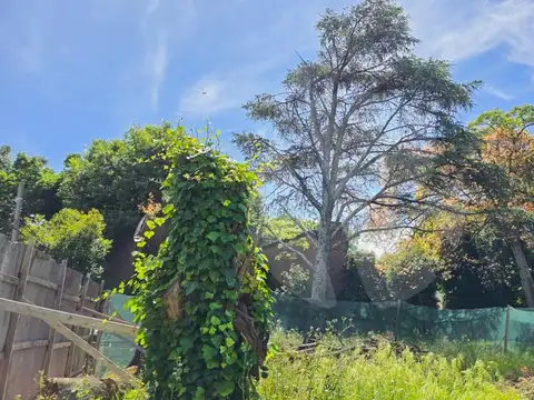 Gaspar Campos y Gobernador Valentin Vergara