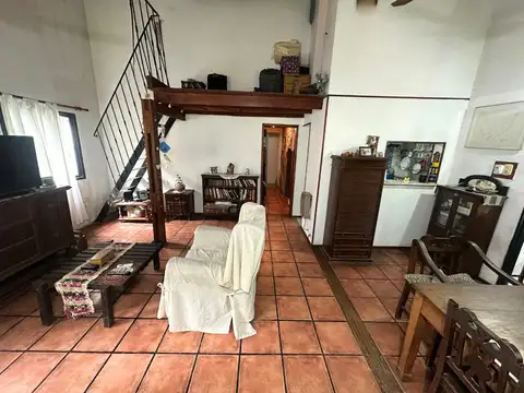 LIQUIDAMBAR IBARLUCEA LOGAR 100