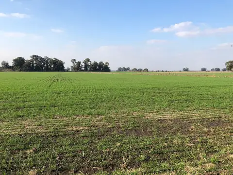 Campo en Venta en Ramos Mejia, Partido de La Matanza