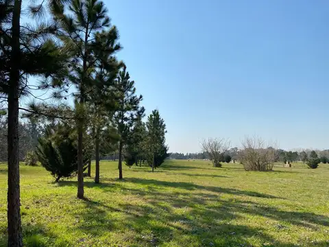 Segunda Etapa El Cardal Terrenos
