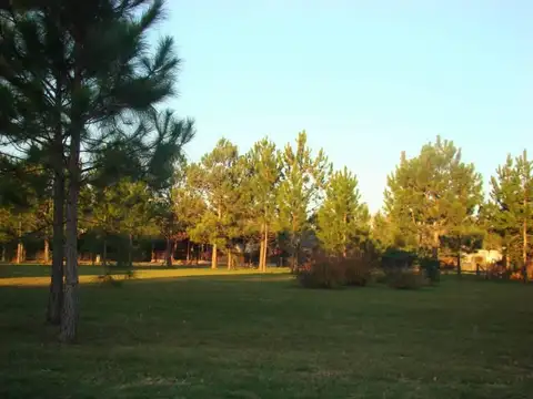 Segunda Etapa El Cardal