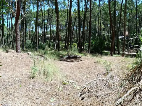 Terreno en Venta 50  mts Frente