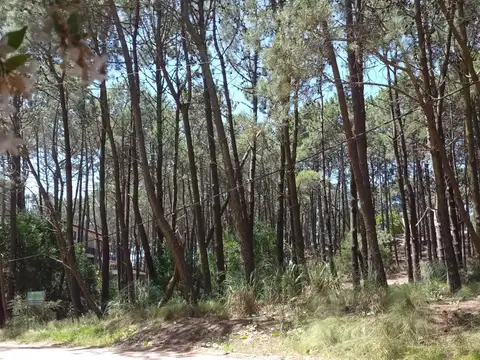 Terreno en Venta, FOT 0,6