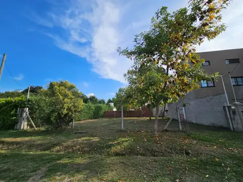 fiesta nacional de la flor