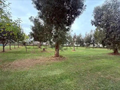 Terreno en Venta de 1005,0 m2