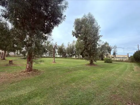 Terreno en Venta en Berisso, USD 42.000