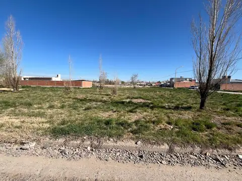 Terreno en Venta en Villa Regina, USD 25.000