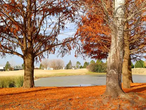 Terreno en Venta de 1072,0 m2