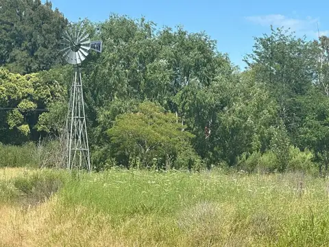 Campo en venta de 1 ha. en Altamira, Mercedes B.