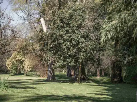 Lucio V. Mansilla 7800