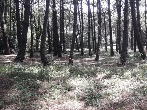 Terreno en Venta en Pinamar Norte, USD 98.000