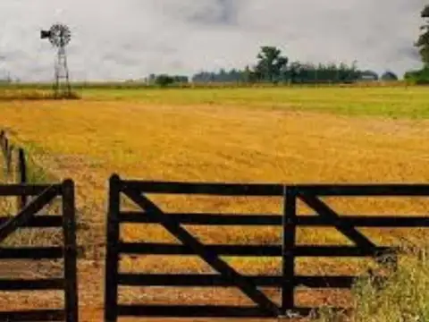 Terreno en Venta de 54000,0 m2