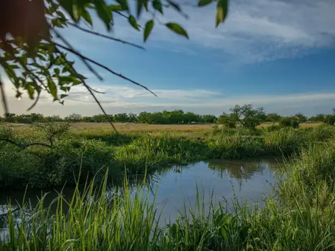 Terreno en venta - 800Mts2 - Berisso