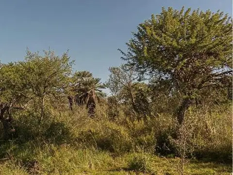 Terreno en Venta de 1192,0 m2