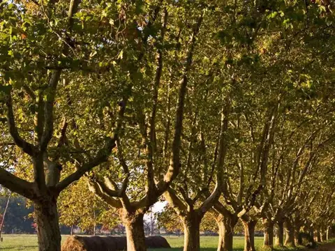 Estancia Villa Maria