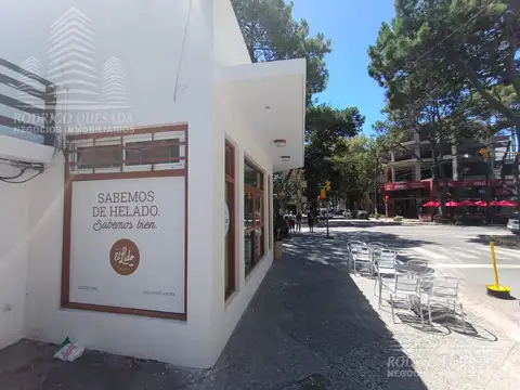 |CHALET + LOCALES SOBRE AVENIDA| |IDEAL DESARROLLO INMOBILIARIO| |SAN BERNARDO|