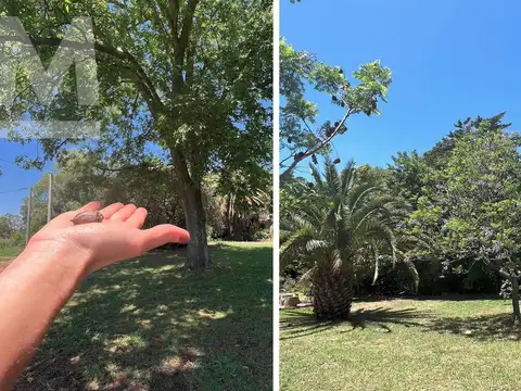 Terreno en Venta en Villa Elvira, USD 10.800