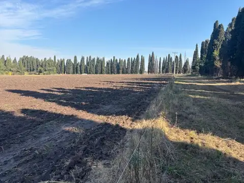 Gdor Castro 3000