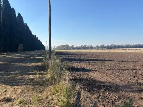 2,5 has de campo por menos precio que un terreno.