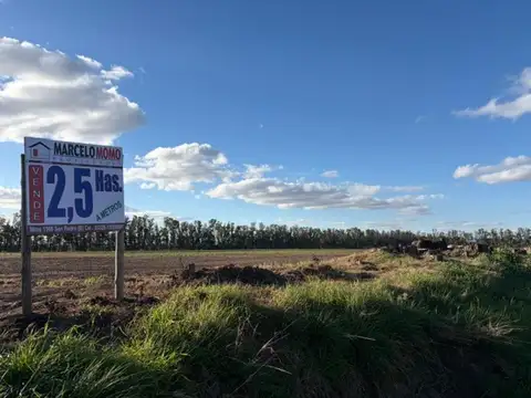 2,5 has de campo por menos precio que un terreno.
