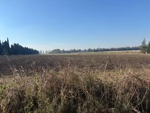 Campo en Venta de 2,50  ha