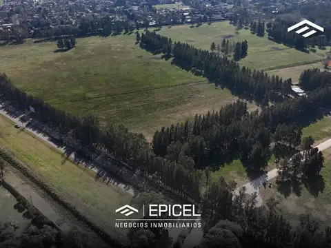 Cnel Vicente Dupuy 6000