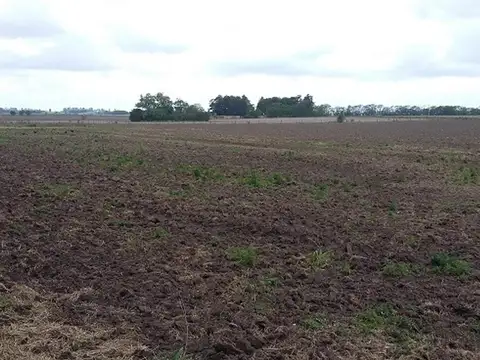 ARRECIFES, FRACCIÓN DE CAMPO A 200 MTS RTA 8