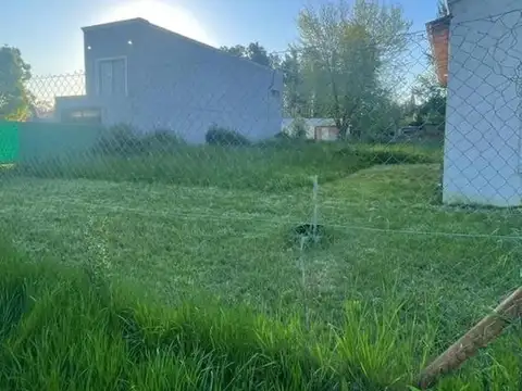 426 E/ 230 Y 231