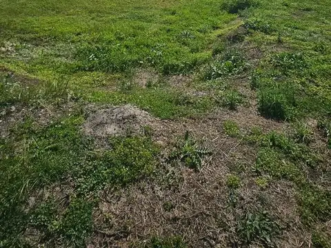 Terreno en Venta en Barrio San Sebastián, Pilar