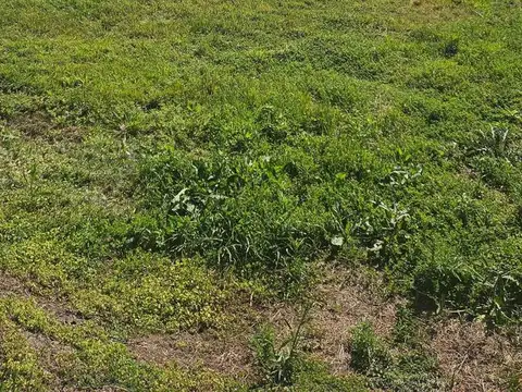 Terreno en Venta en San Sebastián, USD 40.000