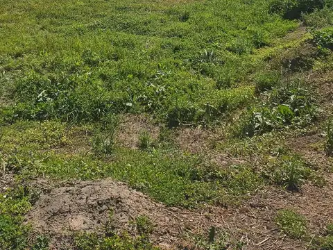 Terreno en Venta de 1085,0 m2
