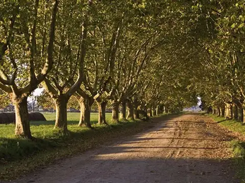 Ruta 205 (estancia Villa Maria Canning)