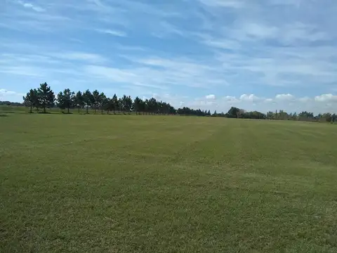 Terreno en Venta de 598,0 m2