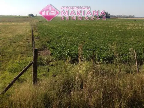 Ruta Provincial 100