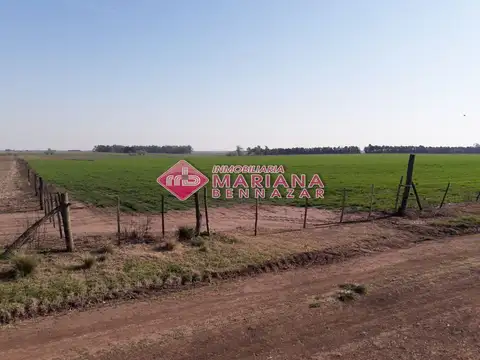 CAMPO AGRICOLA - 77 HECTAREAS - SAN PEDRO