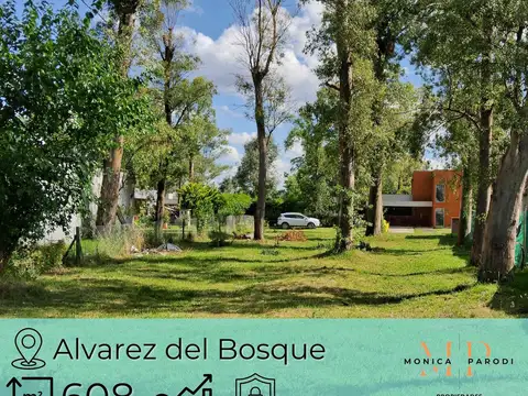 VENTA DE LOTE CENTRAL EN BARRIO PRIVADO ALVAREZ DEL BOSQUE. LOTE GRANDE!