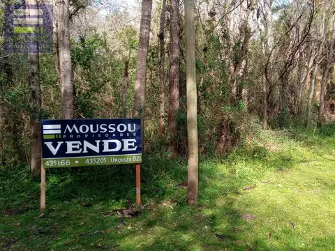 Terreno - Gualeguaychu