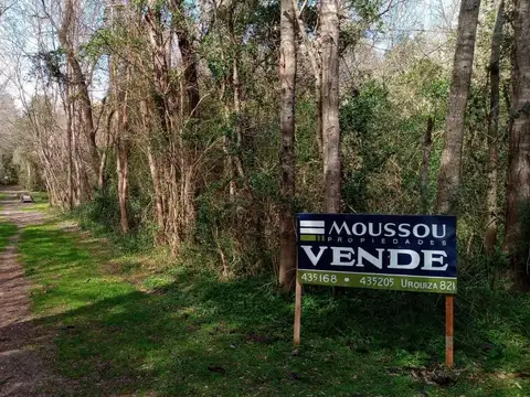 isla libertad