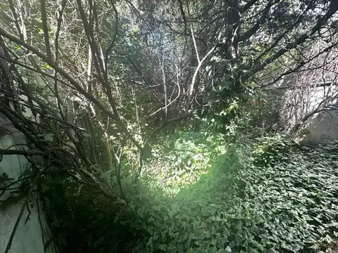 Local comercial con depósito. Zona industrial.