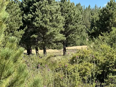 Terreno en Venta de 2726,0 m2
