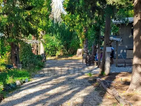 Venta terreno forestado Las Compuertas