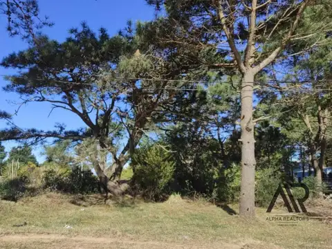 Terreno en Venta 24  mts Fondo