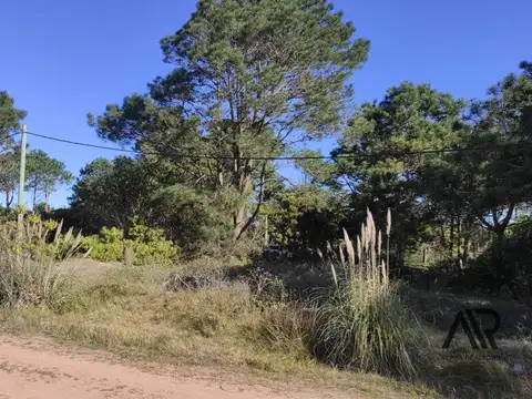 terreno en la 100