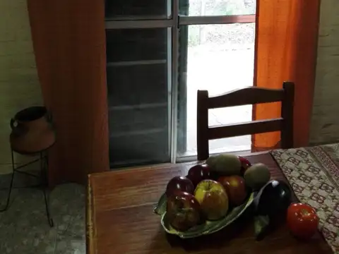 Pedro Siri 2100