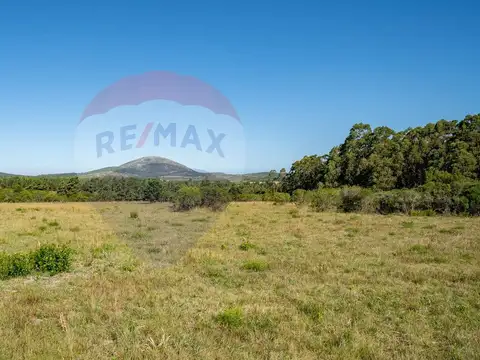 Chacra en venta en las sierras - Oportunidad  