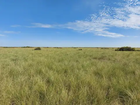 LA RINCONADA