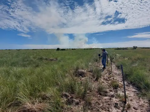 VENTA CAMPO 294 HAS LA RINCONADA RIO SECO CORDOBA