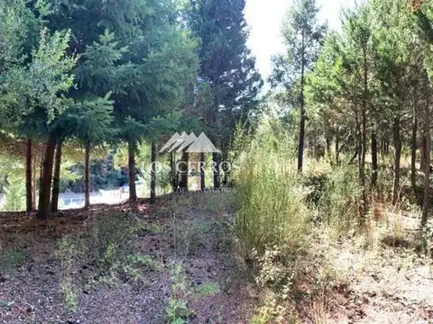 Terreno en Venta en San Carlos de Bariloche, USD 505.000